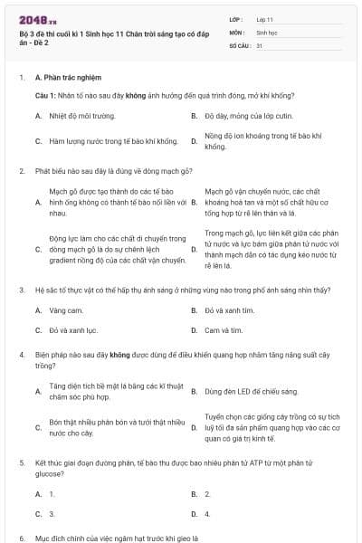 Bộ 3 đề thi cuối kì 1 Sinh học 11 Chân trời sáng tạo có đáp án - Đề 2
