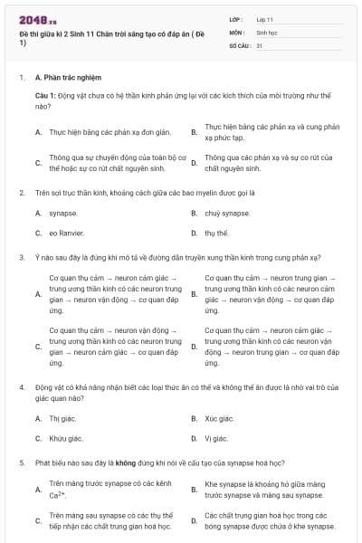 Đề thi giữa kì 2 Sinh 11 Chân trời sáng tạo có đáp án ( Đề 1)