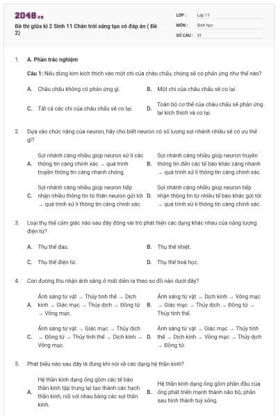 Đề thi giữa kì 2 Sinh 11 Chân trời sáng tạo có đáp án ( Đề 2)