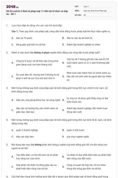 Đề thi cuối kì 2 Kinh tế pháp luật 11 Kết nối tri thức có đáp án - Đề 1