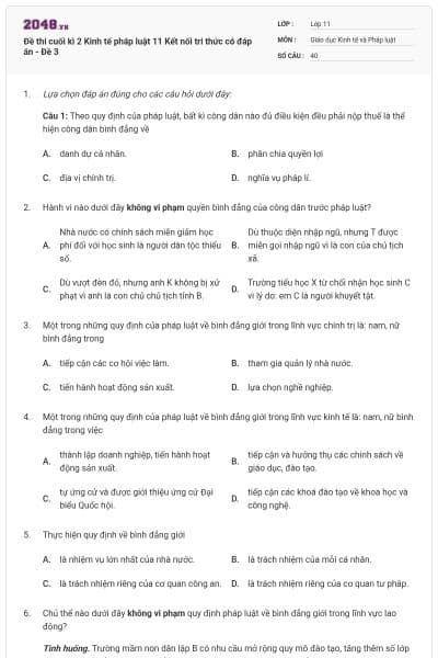 Đề thi cuối kì 2 Kinh tế pháp luật 11 Kết nối tri thức có đáp án - Đề 3