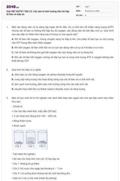 Giải SBT KHTN 7 Bài 22: Các yếu tố ảnh hưởng đến hô hấp tế bào có đáp án