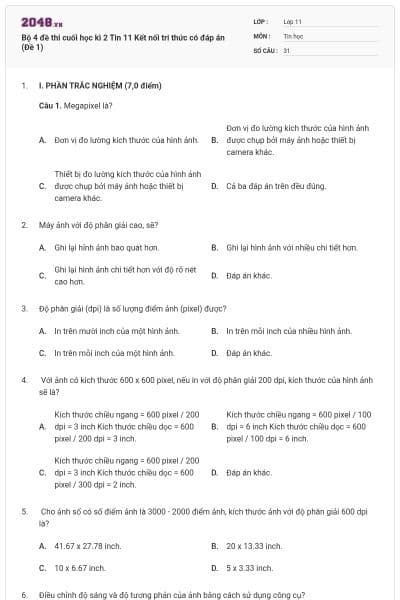 Bộ 4 đề thi cuối học kì 2 Tin 11 Kết nối tri thức có đáp án (Đề 1)