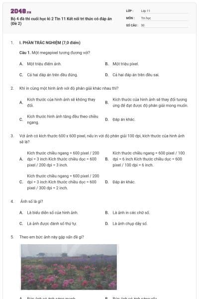 Bộ 4 đề thi cuối học kì 2 Tin 11 Kết nối tri thức có đáp án (Đề 2)