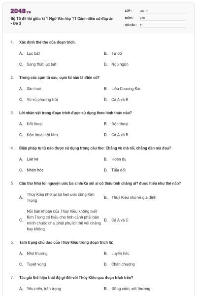 Bộ 15 đề thi giữa kì 1 Ngữ Văn lớp 11 Cánh diều có đáp án - Đề 3