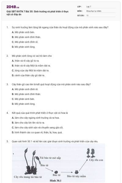 Giải SBT KHTN 7 Bài 30: Sinh trưởng và phát triển ở thực vật có đáp án