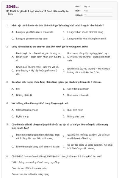 Bộ 15 đề thi giữa kì 1 Ngữ Văn lớp 11 Cánh diều có đáp án - Đề 6