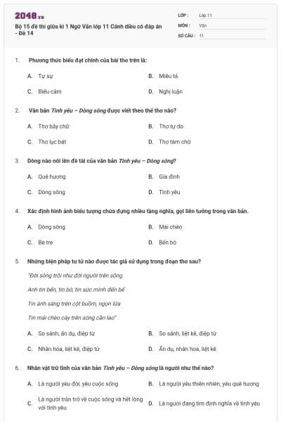 Bộ 15 đề thi giữa kì 1 Ngữ Văn lớp 11 Cánh diều có đáp án - Đề 14