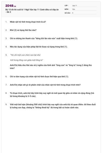 Bộ 15 đề thi cuối kì 1 Ngữ Văn lớp 11 Cánh diều có đáp án - Đề 3