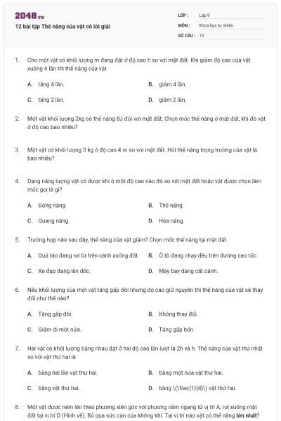 12 bài tập Thế năng của vật có lời giải