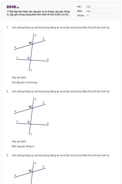 17 Bài tập Xác định các cặp góc so le trong, cặp góc đồng vị, cặp góc trong cùng phía trên hình vẽ cho trước (có lời giải)