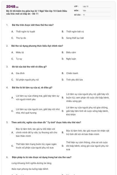 Bộ 22 đề kiểm tra giữa học kì 1 Ngữ Văn lớp 10 Cánh Diều cấu trúc mới có đáp án - Đề 11