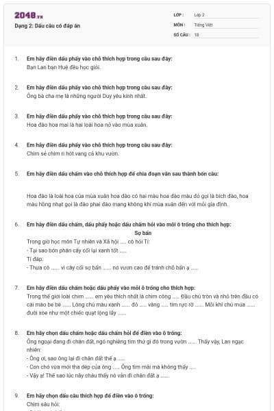 Dạng 2: Dấu câu có đáp án