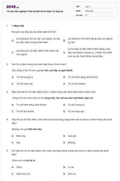 15 câu trắc nghiệm Tính từ Kết nối tri thức có đáp án