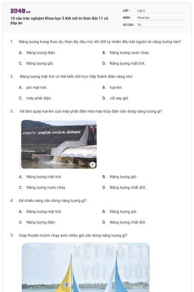 10 câu trắc nghiệm Khoa học 5 Kết nối tri thức Bài 11 có đáp án