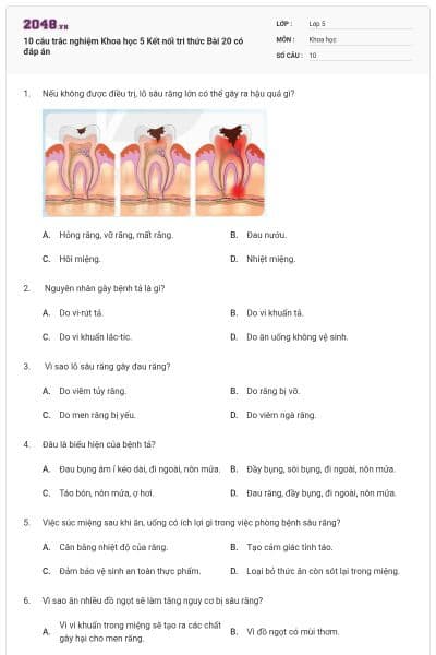 10 câu trắc nghiệm Khoa học 5 Kết nối tri thức Bài 20 có đáp án