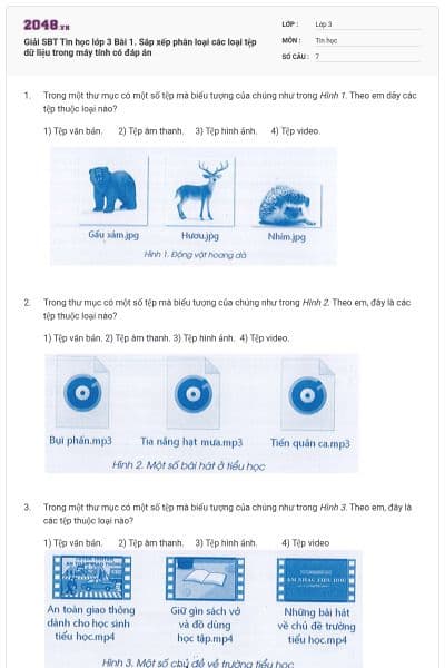 Giải SBT Tin học lớp 3 Bài 1. Sắp xếp phân loại các loại tệp dữ liệu trong máy tính có đáp án
