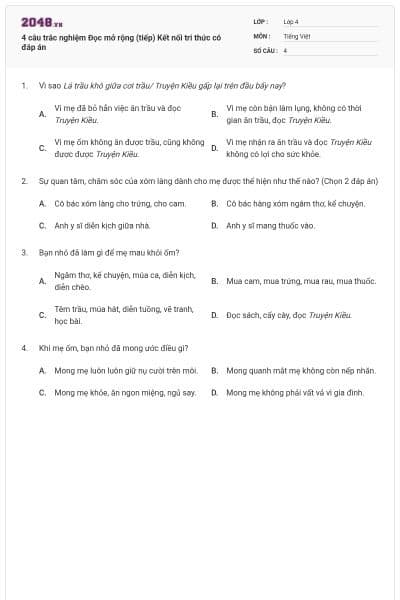 4 câu trắc nghiệm Đọc mở rộng (tiếp) Kết nối tri thức có đáp án