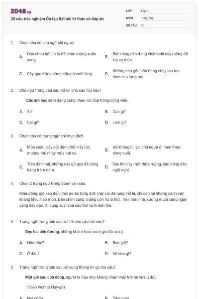 20 câu trắc nghiệm Ôn tập Kết nối tri thức có đáp án