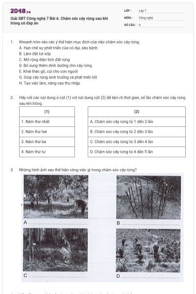 Giải SBT Công nghệ 7 Bài 6. Chăm sóc cây rừng sau khi trồng có đáp án