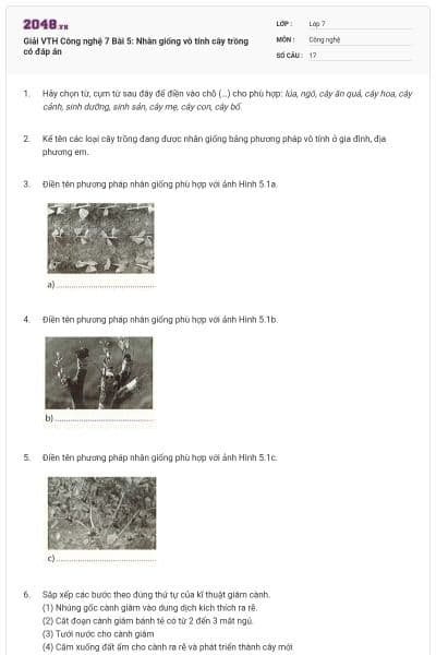 Giải VTH Công nghệ 7 Bài 5: Nhân giống vô tính cây trồng có đáp án