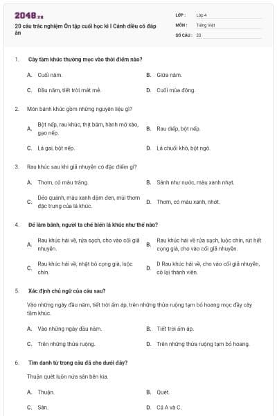 20 câu trắc nghiệm Ôn tập cuối học kì I Cánh diều có đáp án