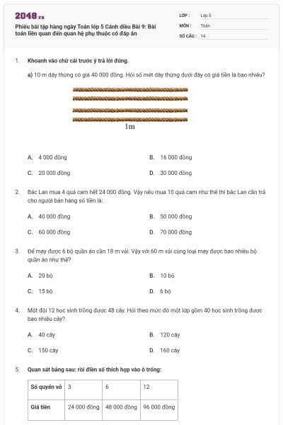 Phiếu bài tập hàng ngày Toán lớp 5 Cánh diều Bài 9: Bài toán liên quan đến quan hệ phụ thuộc có đáp án