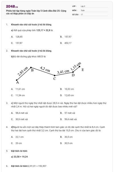 Phiếu bài tập hàng ngày Toán lớp 5 Cánh diều Bài 25: Cộng các số thập phân có đáp án