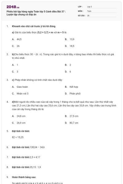 Phiếu bài tập hàng ngày Toán lớp 5 Cánh diều Bài 37 : Luyện tập chung có đáp án