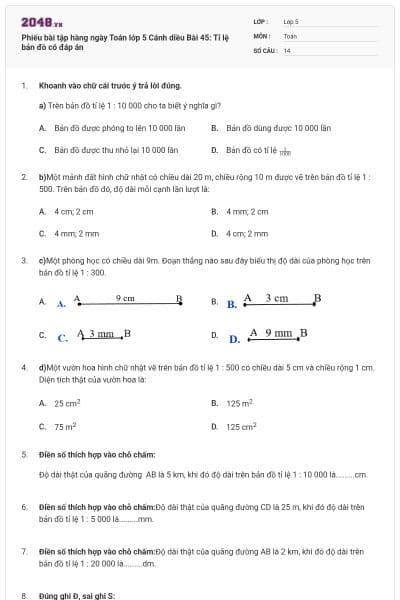 Phiếu bài tập hàng ngày Toán lớp 5 Cánh diều Bài 45: Tỉ lệ bản đồ có đáp án