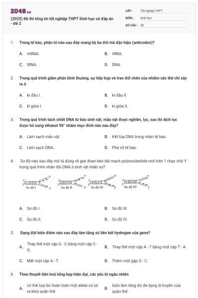 (2025) Đề thi tổng ôn tốt nghiệp THPT Sinh học có đáp án - Đề 2