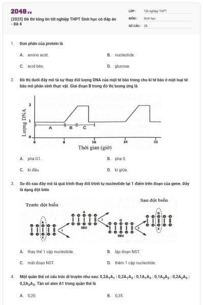 (2025) Đề thi tổng ôn tốt nghiệp THPT Sinh học có đáp án - Đề 4