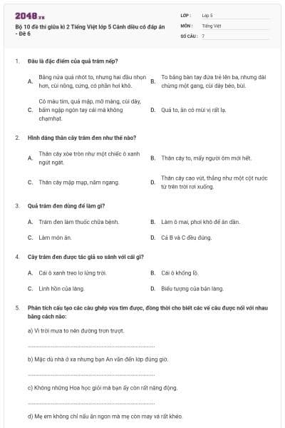 Bộ 10 đề thi giữa kì 2 Tiếng Việt lớp 5 Cánh diều có đáp án - Đê 6
