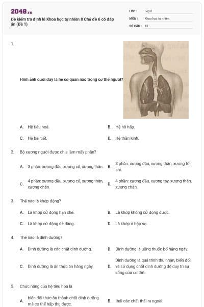 Đề kiểm tra định kì Khoa học tự nhiên 8 Chủ đề 6 có đáp án (Đề 1)