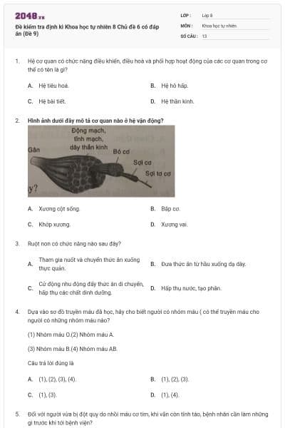 Đề kiểm tra định kì Khoa học tự nhiên 8 Chủ đề 6 có đáp án (Đề 9)