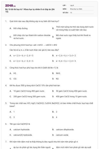 Bộ 10 đề thi học kì 1 Khoa học tự nhiên 8 có đáp án (Đề 10)