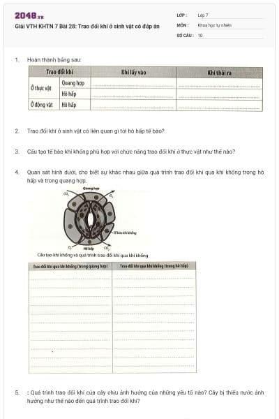 Giải VTH KHTN 7 Bài 28: Trao đổi khí ở sinh vật có đáp án