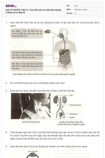 Giải VTH KHTN 7 Bài 31: Trao đổi nước và chất dinh dưỡng ở động vật có đáp án