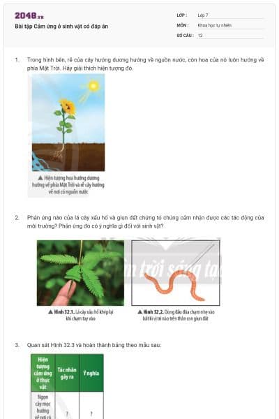 Bài tập Cảm ứng ở sinh vật có đáp án
