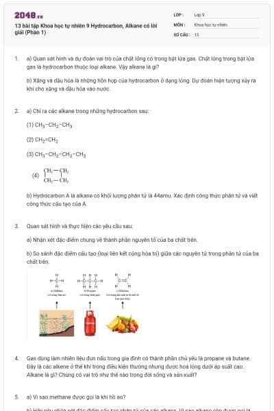 13 bài tập Khoa học tự nhiên 9 Hydrocarbon, Alkane có lời giải (Phần 1)