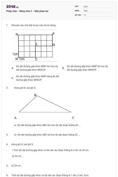 Phép chia – Bảng chia 2 – Một phần hai