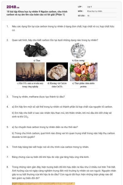 18 bài tập Khoa học tự nhiên 9 Nguồn carbon, chu trình carbon và sự ấm lên của toàn cầu có lời giải (Phần 1)