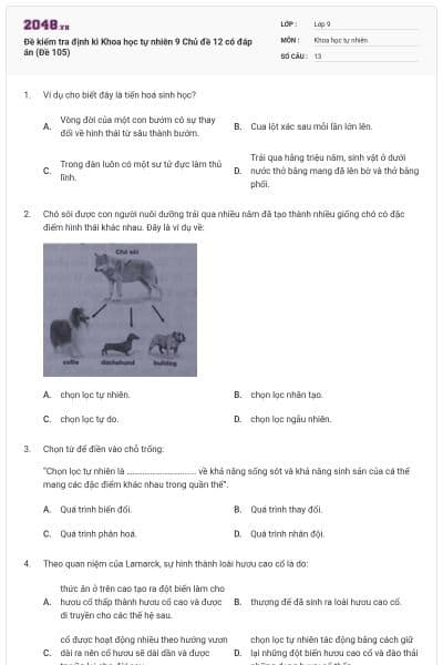 Đề kiểm tra định kì Khoa học tự nhiên 9 Chủ đề 12 có đáp án (Đề 105)