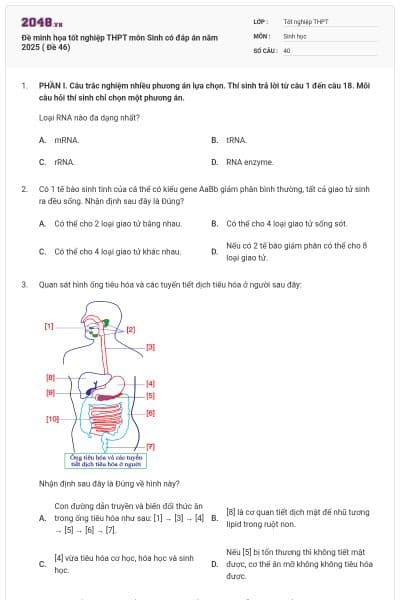 Đề minh họa tốt nghiệp THPT môn Sinh có đáp án năm 2025 ( Đề 46)