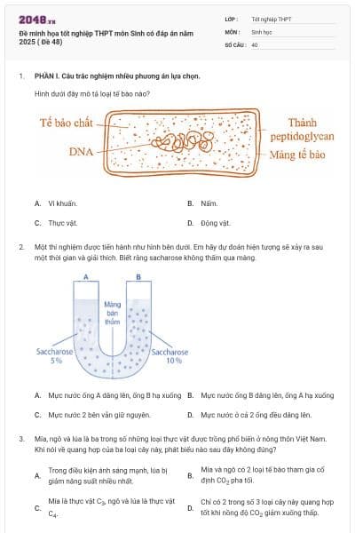 Đề minh họa tốt nghiệp THPT môn Sinh có đáp án năm 2025 ( Đề 48)