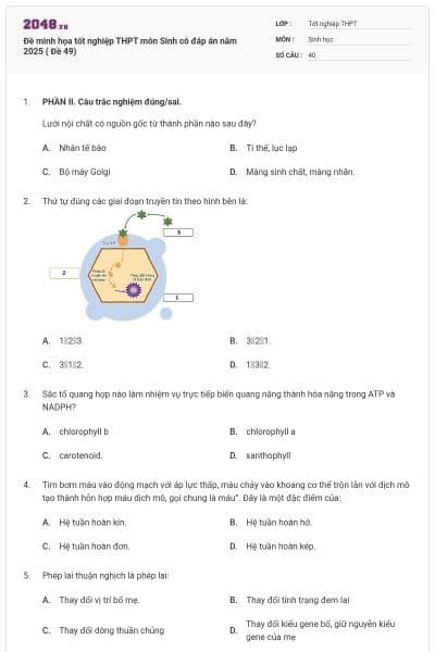 Đề minh họa tốt nghiệp THPT môn Sinh có đáp án năm 2025 ( Đề 49)