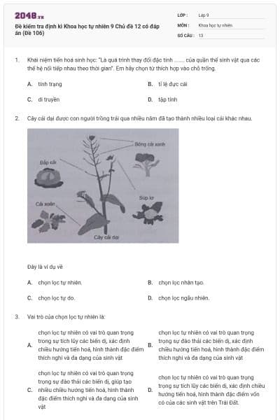 Đề kiểm tra định kì Khoa học tự nhiên 9 Chủ đề 12 có đáp án (Đề 106)