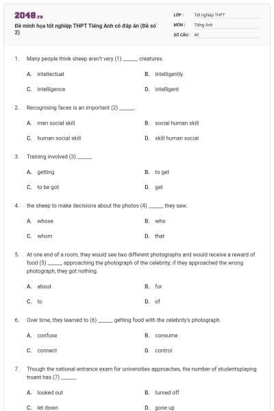 Đề minh họa tốt nghiệp THPT Tiếng Anh có đáp án (Đề số 2)
