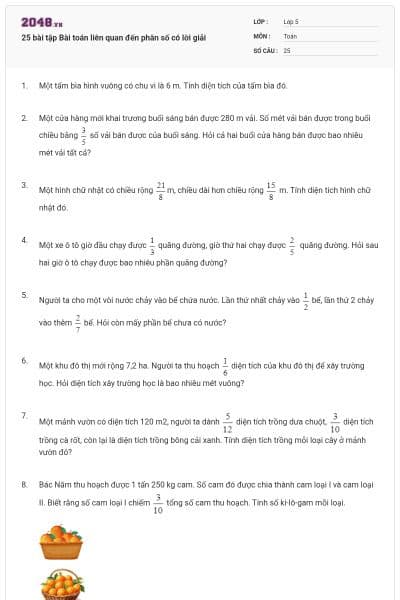 25 bài tập Bài toán liên quan đến phân số có lời giải
