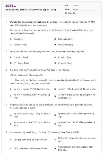 Đề thi giữa kì 2 Tin học 12 Cánh Diều có đáp án ( Đề 1)